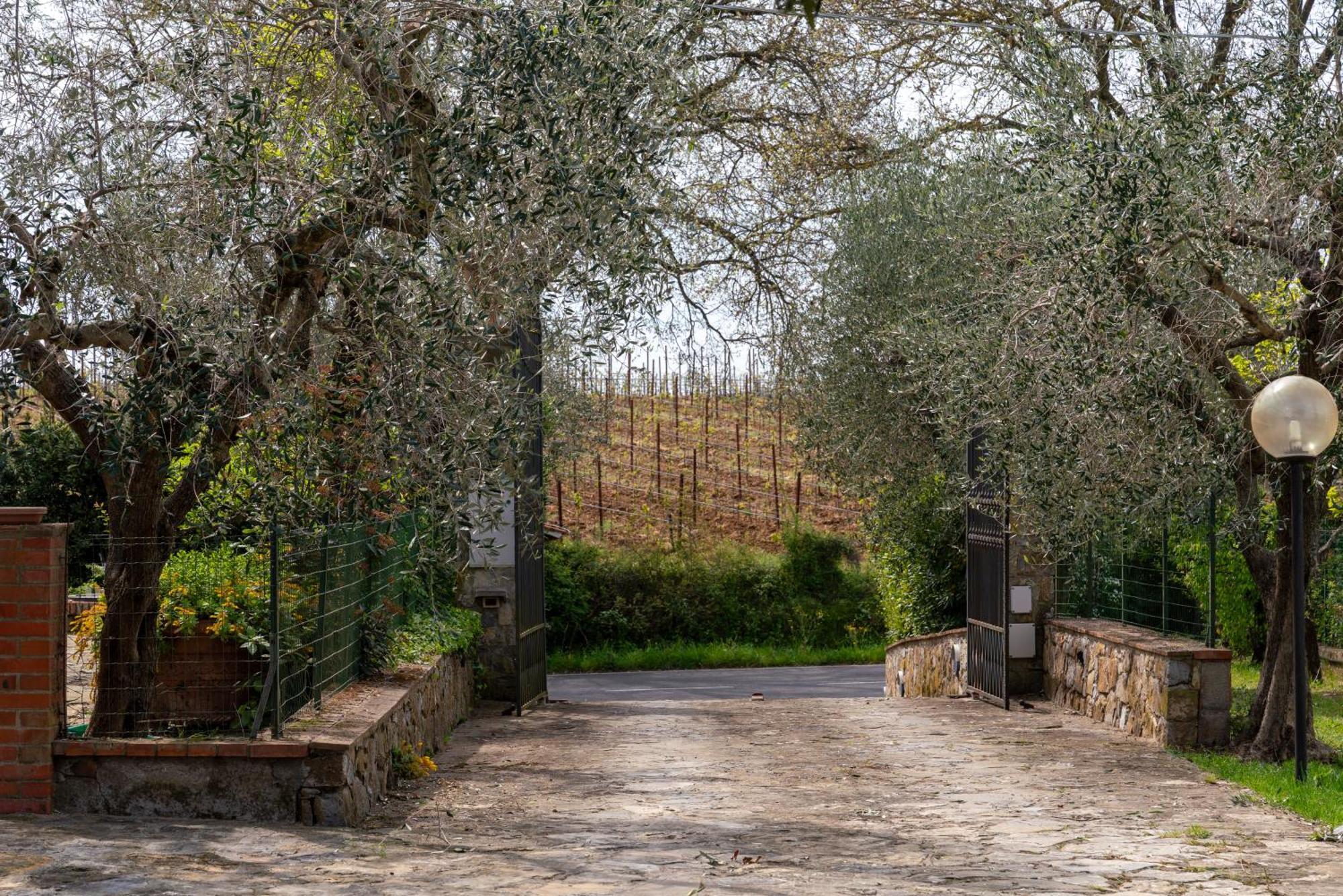Agriturismo La Carletta Preselle エクステリア 写真