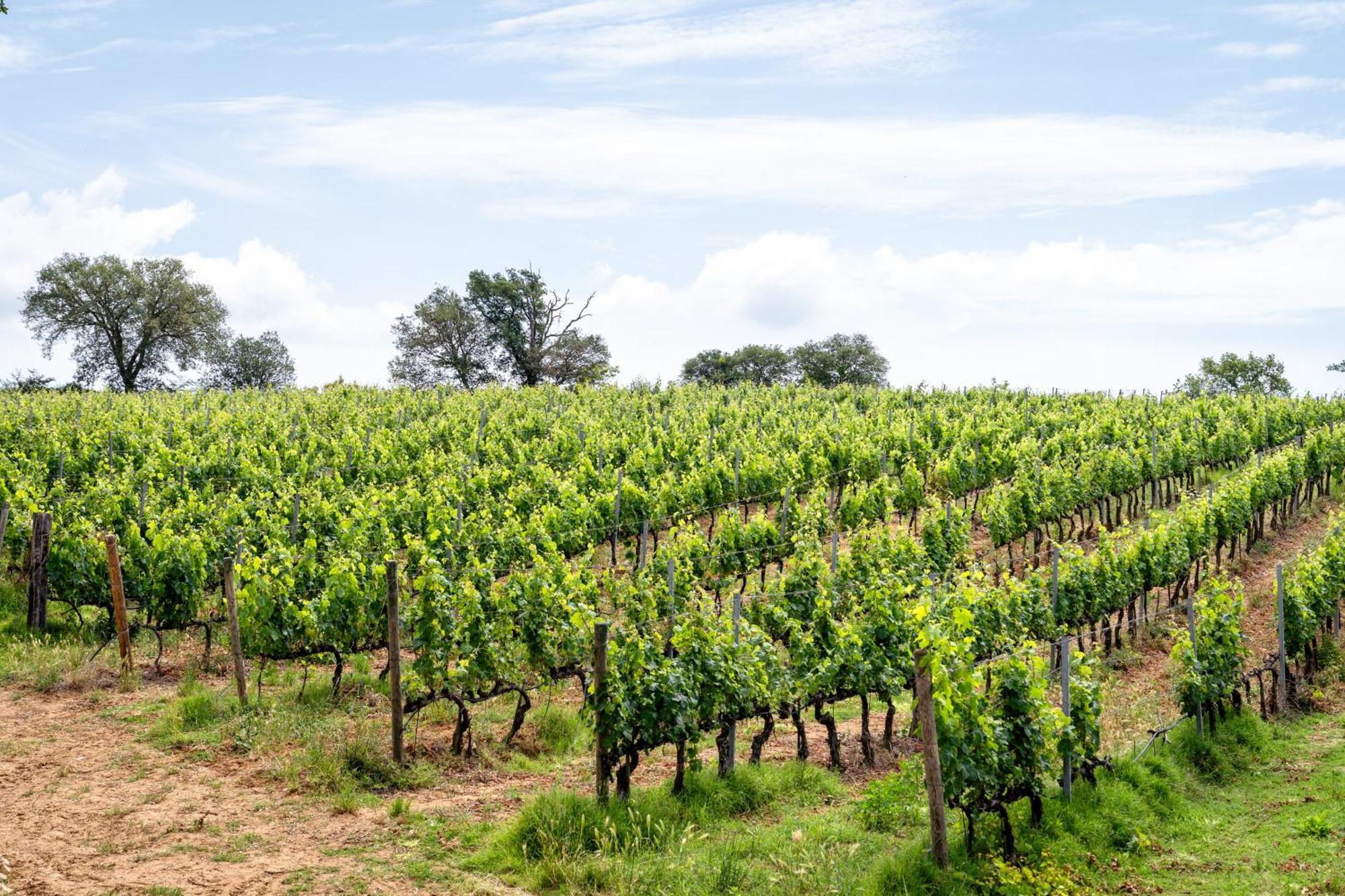 Agriturismo La Carletta Preselle エクステリア 写真