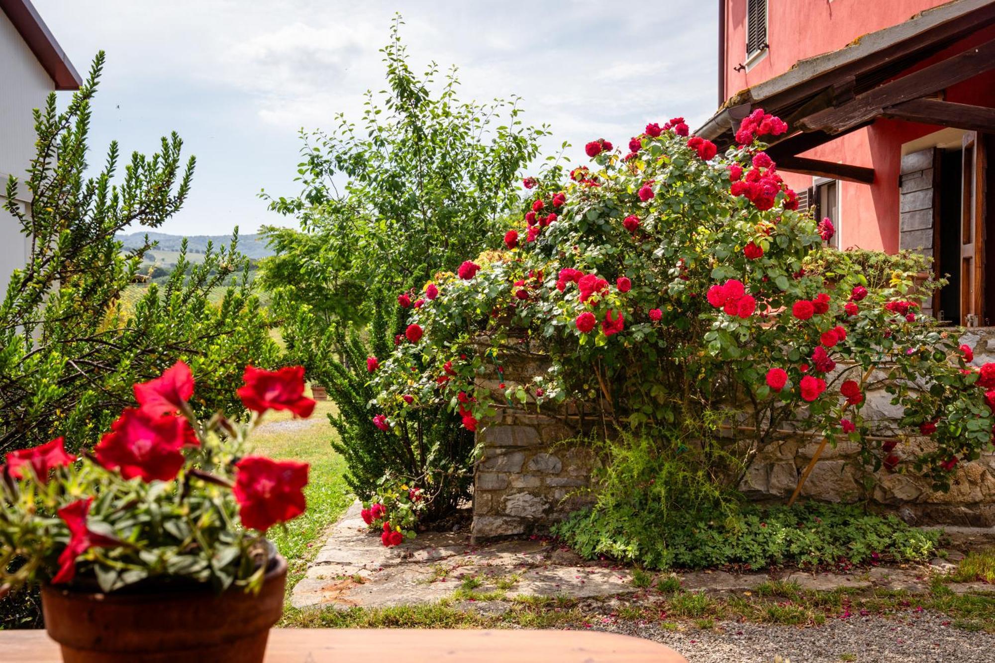 Agriturismo La Carletta Preselle エクステリア 写真